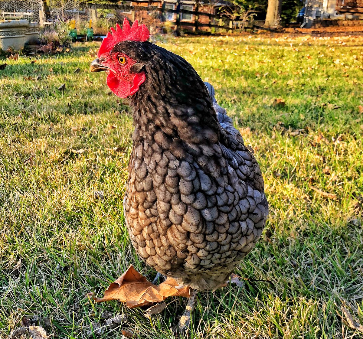 STEM Teaching Tools tweet media