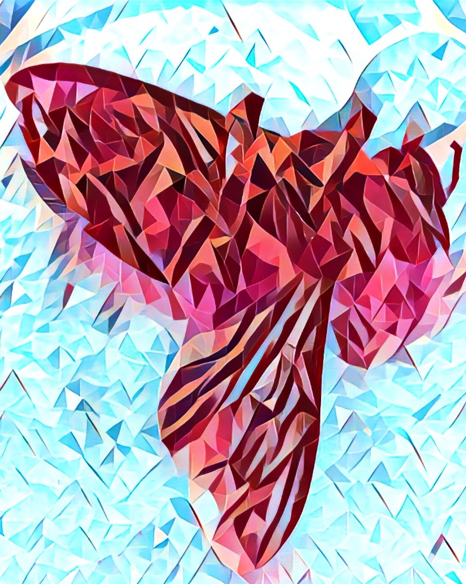 DG1
Check out new NFT on opensea
Conceptual 🐝
.
Bee series 
opensea.io/assets/matic/0…

#NFTGiveaways #NFTs #NFT #NFTCommunity #NFTGiveaway #NFTartwork #OpenSeaNFT #Polygon #opensea #NFTsales #digitalart #Etherium #NFTartist