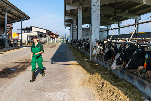 Tweet by AVMA (American Veterinary Medical Association)