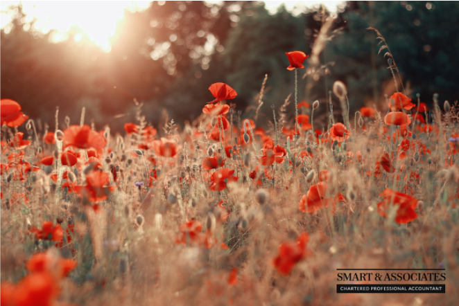 Today we're remembering and reflecting. #RemembranceDay