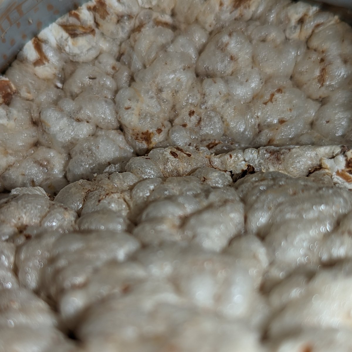 YaleChen2020's tweet image. OLDMILA 小麥粗粒芝麻餅

天然的味道
芝麻味道淡
每三片會吃到小小的鹽粒的

覺得適合當餐間點心
吃兩片灌一大口水讓它膨脹有飽足感

在 #pchome24 買的
PCHOME 立陶宛館
24h.pchome.com.tw/region/DBDT

立陶宛製造 
台立友好
🇱🇹🤝🇹🇼

#boycuttchina 
#ABC_challenge
#AnywherebutChina
#StandWithHongKong