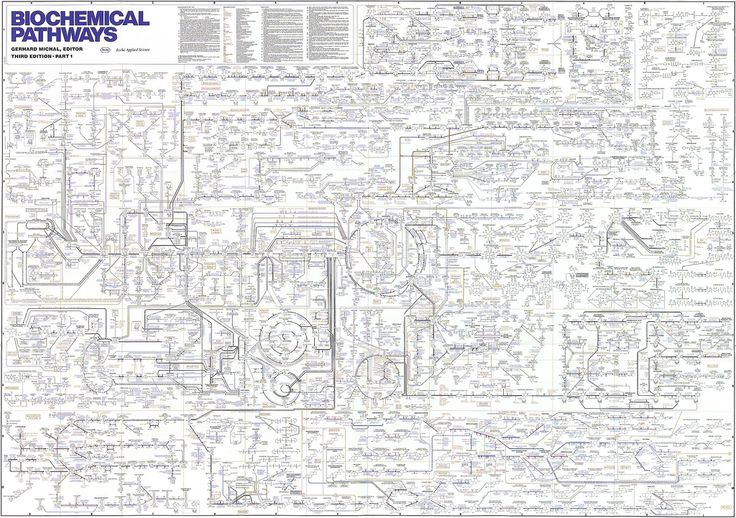 Eric Topol (@erictopol) on Twitter photo A simplified map of human metabolic pathways ;-)
And a new study of over 900 metabolites assessed in ~20,000 people <a href="/NatureMedicine/">Nature Medicine</a>
nature.com/articles/s4159… A simplified map of human metabolic pathways ;-)
And a new study of over 900 metabolites assessed in ~20,000 people <a href="/NatureMedicine/">Nature Medicine</a>
nature.com/articles/s4159…