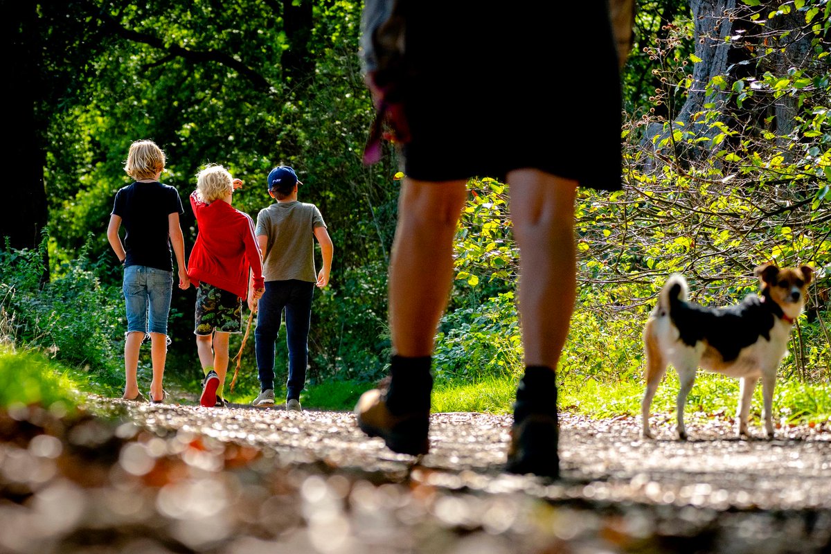 Preventie staat bij veel #gemeenten hoog op de agenda. Weten wat werkt? Laat je inspireren tijdens het Congres lokale #preventieakkoorden van <a href="/VNGemeenten/">VNG</a> op 24/11 > vng.nl/agenda/bijeenk…

#beleidsmaker #beleidsadviseur #beleidsmedewerker #wethouder #gemeente #GGD #leefstijl