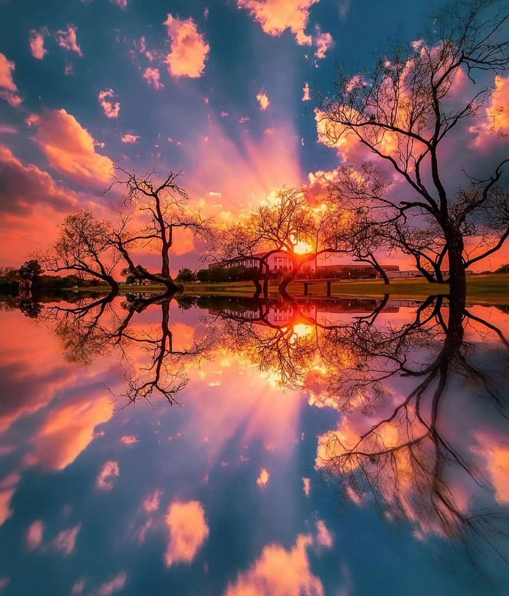 Good evening 💫