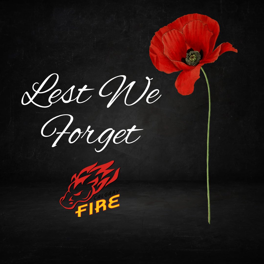 Thank you to all those who have served and continue to serve. You continue to be in our thoughts and prayers today 🪖🎖️