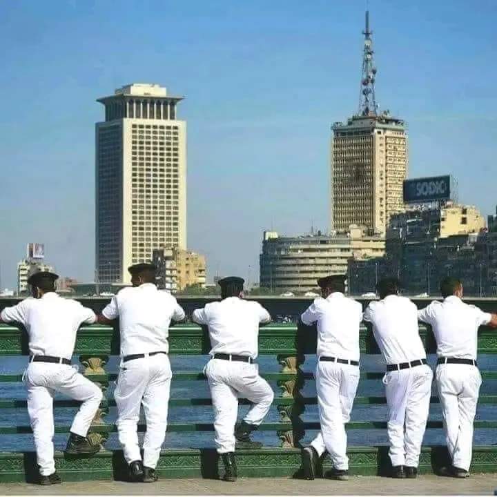 عاجل :
إصابة 12 من افراد الامن في السويس بالملل