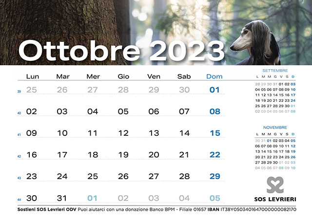 SOS Levrieri tweet media