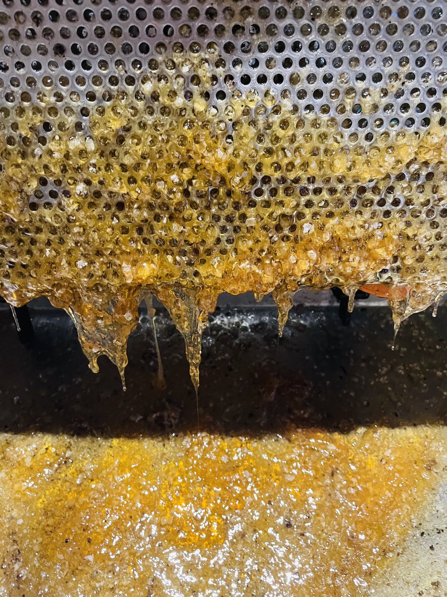 tonyrefailapiar's tweet photo. Another evening!!! Heather honey 🍯 
#honeybebees
#honeycomb #beekeeping #beeswax #localhoney #purewelshhoney #honeylover #beekeepers #beefarmers #shaeila_apiary #tonyrefail_apiary #beestagram #beeslife #beesofinstagram  #rawhoney #beehive #tonyrefailapiar #heatherhoney https://t.co/0Ega0jjH8k