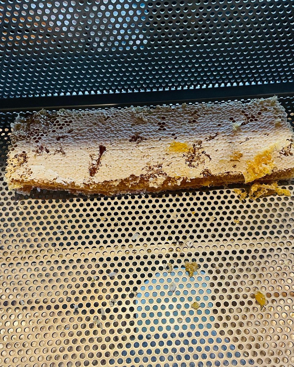 tonyrefailapiar's tweet photo. Another evening!!! Heather honey 🍯 
#honeybebees
#honeycomb #beekeeping #beeswax #localhoney #purewelshhoney #honeylover #beekeepers #beefarmers #shaeila_apiary #tonyrefail_apiary #beestagram #beeslife #beesofinstagram  #rawhoney #beehive #tonyrefailapiar #heatherhoney https://t.co/0Ega0jjH8k