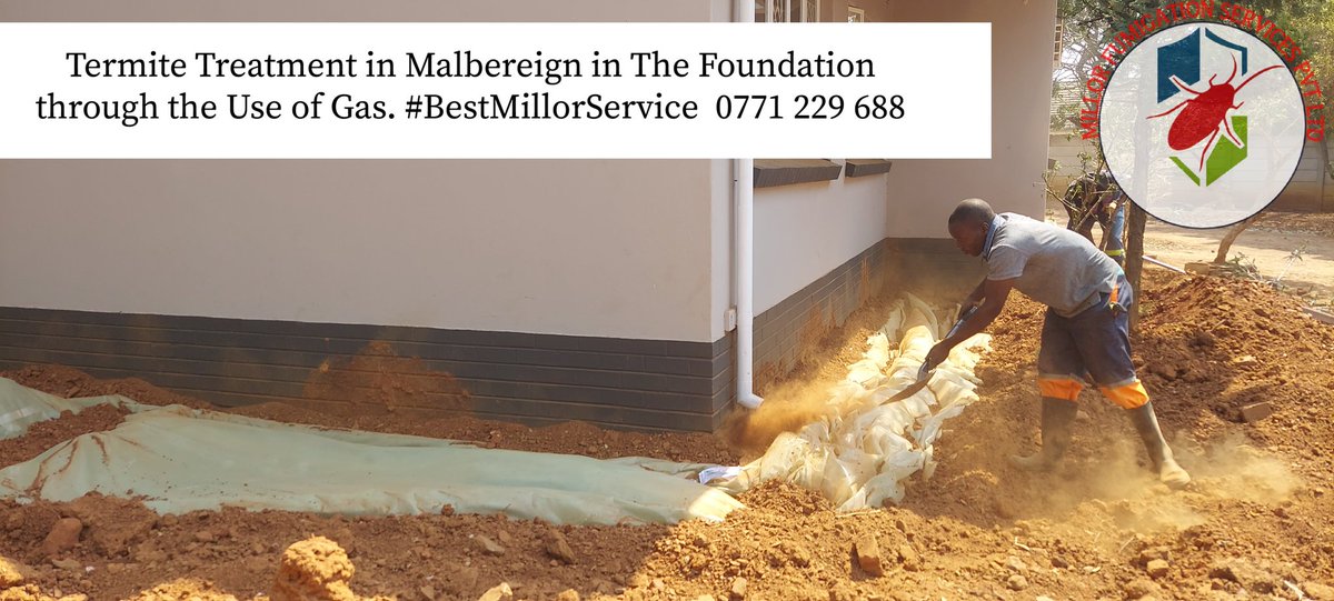 DrZimhangwa's tweet photo. MABELREIGN Fumigation Services for Termite Extermination in the Foundation Booking 0771 229 688 
#termitetreatments #fumigationinharare #Fumigation #termite #termiteinspection #TermiteControlService #termitecontrol #zimtiktokers https://t.co/5fpwgoOhYY