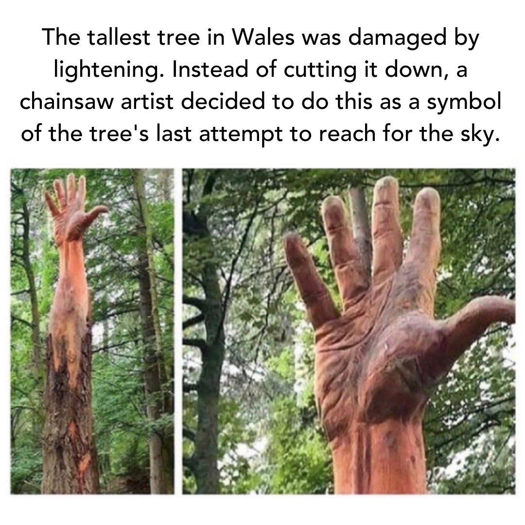 Live Happy tweet media