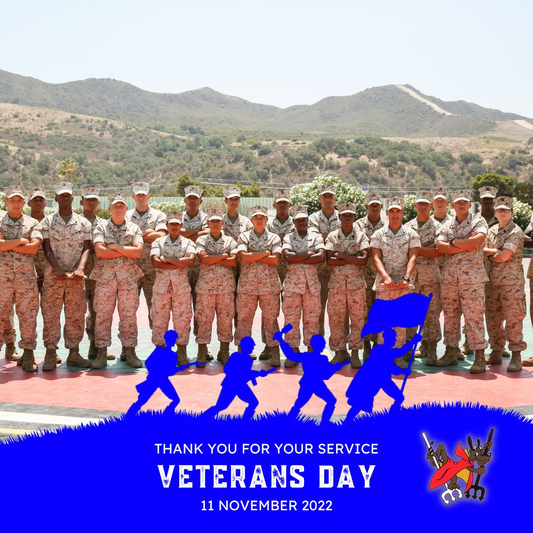 We honor all those who have served &amp; are currently serving our country in all of the armed forces of these United States. #happyveteransday22