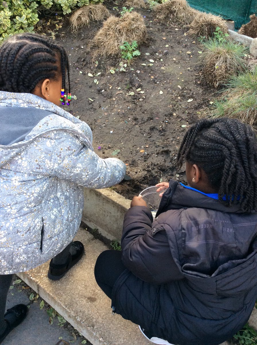 FoxfldPlum's tweet photo. Today we became little scientists and we created a wormery! https://t.co/2W8EpJPn99