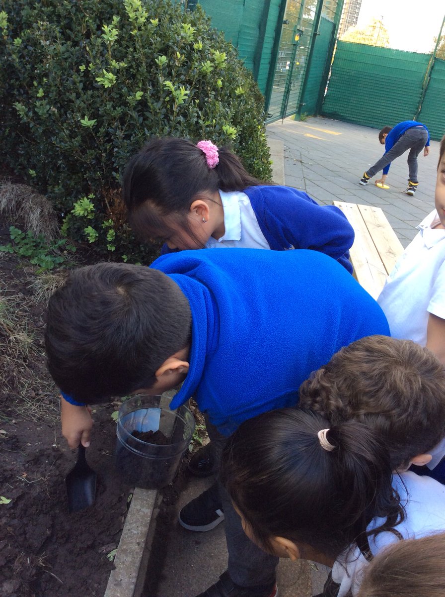 FoxfldPlum's tweet photo. Today we became little scientists and we created a wormery! https://t.co/2W8EpJPn99