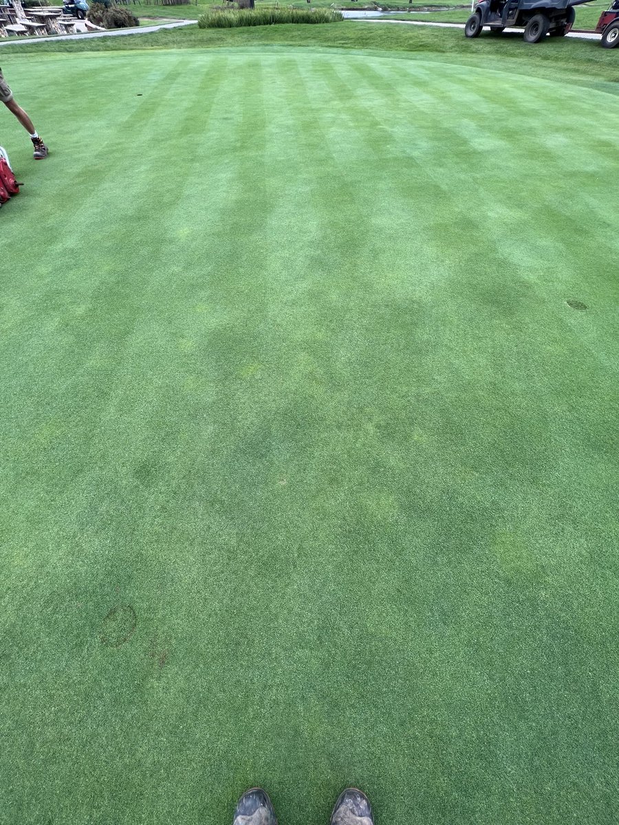 Andy Copeland (@andycopeland088) on Twitter photo Quite remarkable that even after 76mm of rain last week the course continues to present & play well. <a href="/HeadlandAmenity/">Headland Amenity</a> Xtend applied in August is still releasing on fairways and bent seed pushing through on greens nicely.. not bad for mid November ! Great team effort as always πͺ Quite remarkable that even after 76mm of rain last week the course continues to present & play well. <a href="/HeadlandAmenity/">Headland Amenity</a> Xtend applied in August is still releasing on fairways and bent seed pushing through on greens nicely.. not bad for mid November ! Great team effort as always πͺ