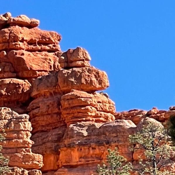 travelusaexp's tweet photo. Why is Southern Utah Red? Iron (Fe) actually rusts and colors the landscape. 
#travelusaexpress #nationalparkexpress #lifeelevated #visitutah #travelusa #zion #zionpark #brycepark #visitbryce #familytravel https://t.co/CKHJzOcg0u