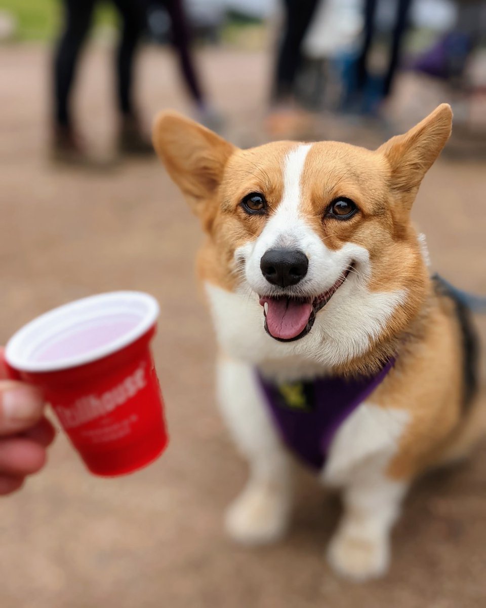 STILLHOUSEUSA tweet media