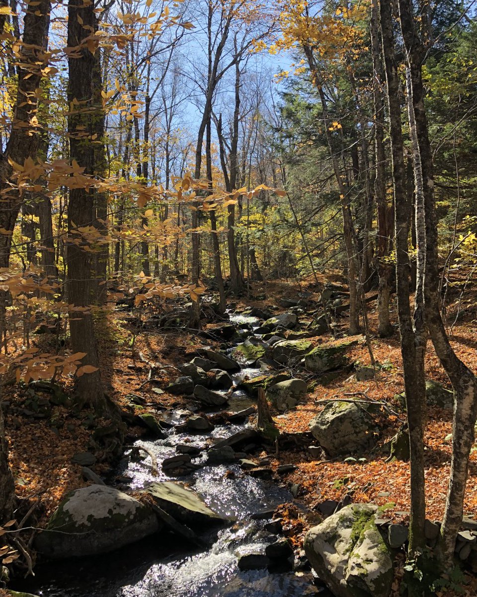 STILLHOUSEUSA tweet media