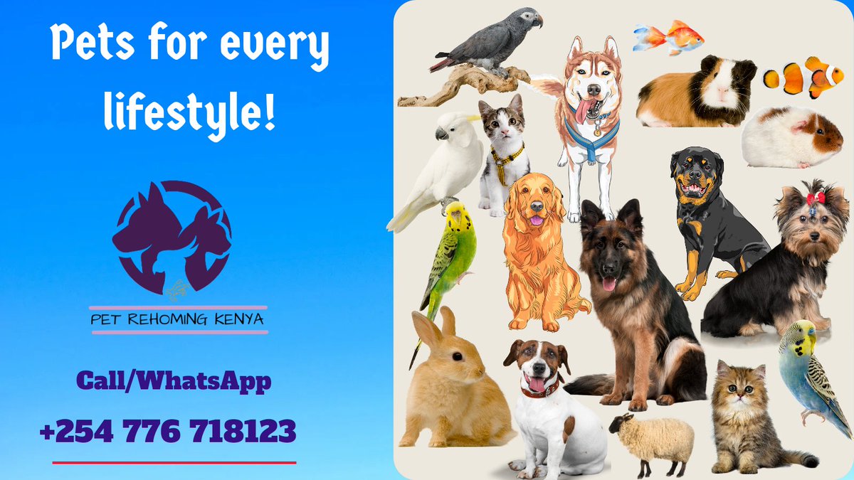 prkpets's tweet photo. Discover, learn and find pets.
For pets &amp; pet needs WhatsApp us using the link below 
https://t.co/kn5wVBX8cH https://t.co/f1P0WAAnKB