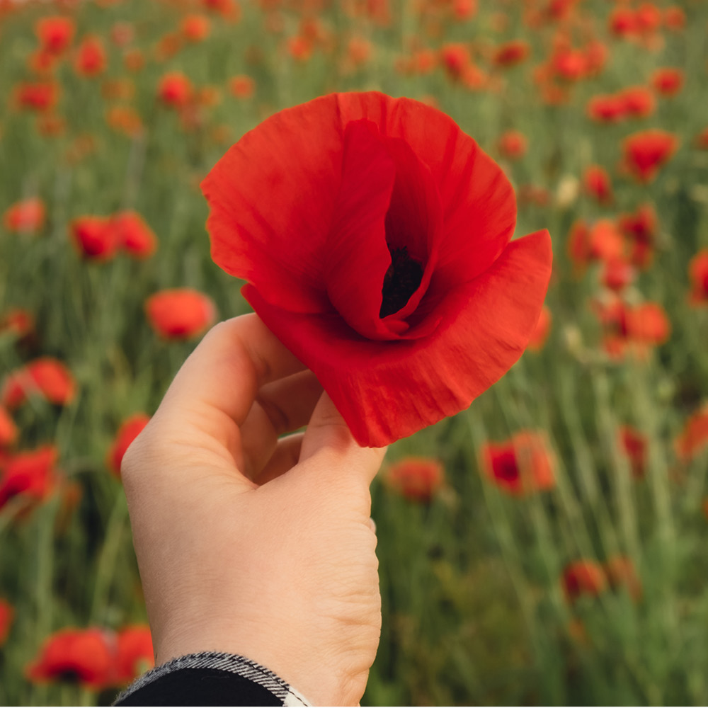 UFA Co-operative tweet media