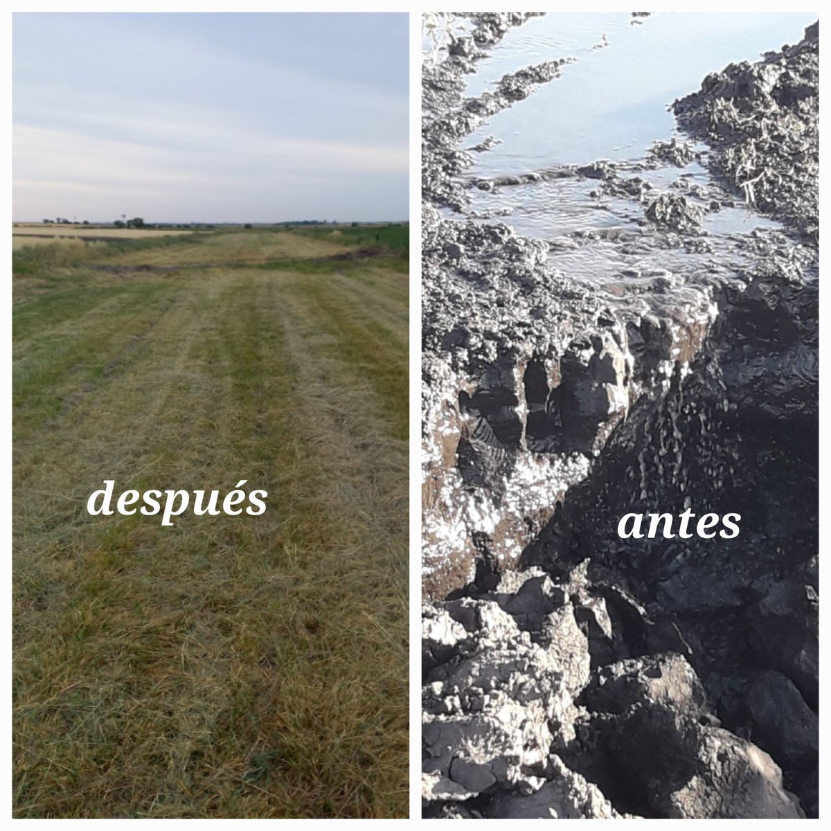 Para formar 1 cm de suelo se necesitan 100 años (FAO). En ER el 70 % de la sup perdió al menos 5 cm. La sistematización con terrazas y canales disminuye la pérdida de suelo a valores tolerables. AYUDAR a mantener el ambiente es parte de la satisfacción de nuestro trabajo.