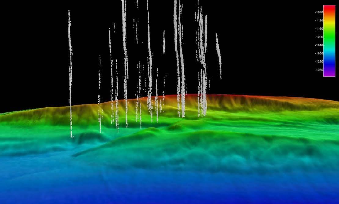 EVNautilus's tweet photo. On #EVNautilus we use #sonarmapping to tell us about the characteristics of the #seafloor, whether it's hard rock, soft sand, or coral reef. The strength of a returning ping is called #backscatter- pictured here detecting plumes of bubbles from methane gas seeps. https://t.co/gHA7NKjifb