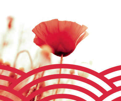 FPGenetics's tweet photo. Since 2021, in collaboration with The Royal Canadian Legion, Saskatchewan Command, FP Genetics has named 14 Crop Varieties after deserving veterans and RCMP Members, highlighting the sacrifices they have made in service of community and country. #CanadaRemembers https://t.co/ZLX36Kl7c6