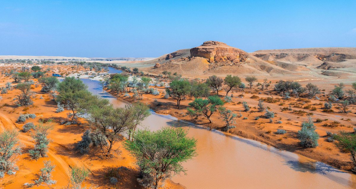 𝐌𝐨𝐨𝐝𝐚𝐚𝐥𝐞 𝐌𝐞𝐝𝐢𝐚 𝐆𝐫𝐨𝐮𝐩 (@moodaale) on Twitter photo 