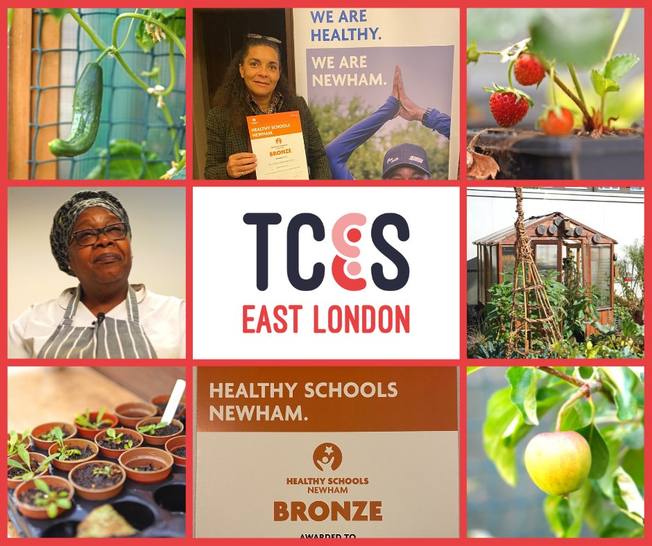 The Complete Education Solution (@tcesgroup) on Twitter photo We're so thrilled (but not a bit surprised!) that our East London school won a bronze award in the <a href="/NewhamLondon/">Newham London 💙</a> <a href="/healthyschools_/">Healthy Schools</a> awards. As <a href="/apiculturalLdn/">Api:Cultural</a> will testify, our school garden gives our wonderful cook a feast of healthy goodies for the school kitchen. <a href="/rokhsanafiaz/">Rokhsana Fiaz OBE</a> We're so thrilled (but not a bit surprised!) that our East London school won a bronze award in the <a href="/NewhamLondon/">Newham London 💙</a> <a href="/healthyschools_/">Healthy Schools</a> awards. As <a href="/apiculturalLdn/">Api:Cultural</a> will testify, our school garden gives our wonderful cook a feast of healthy goodies for the school kitchen. <a href="/rokhsanafiaz/">Rokhsana Fiaz OBE</a>
