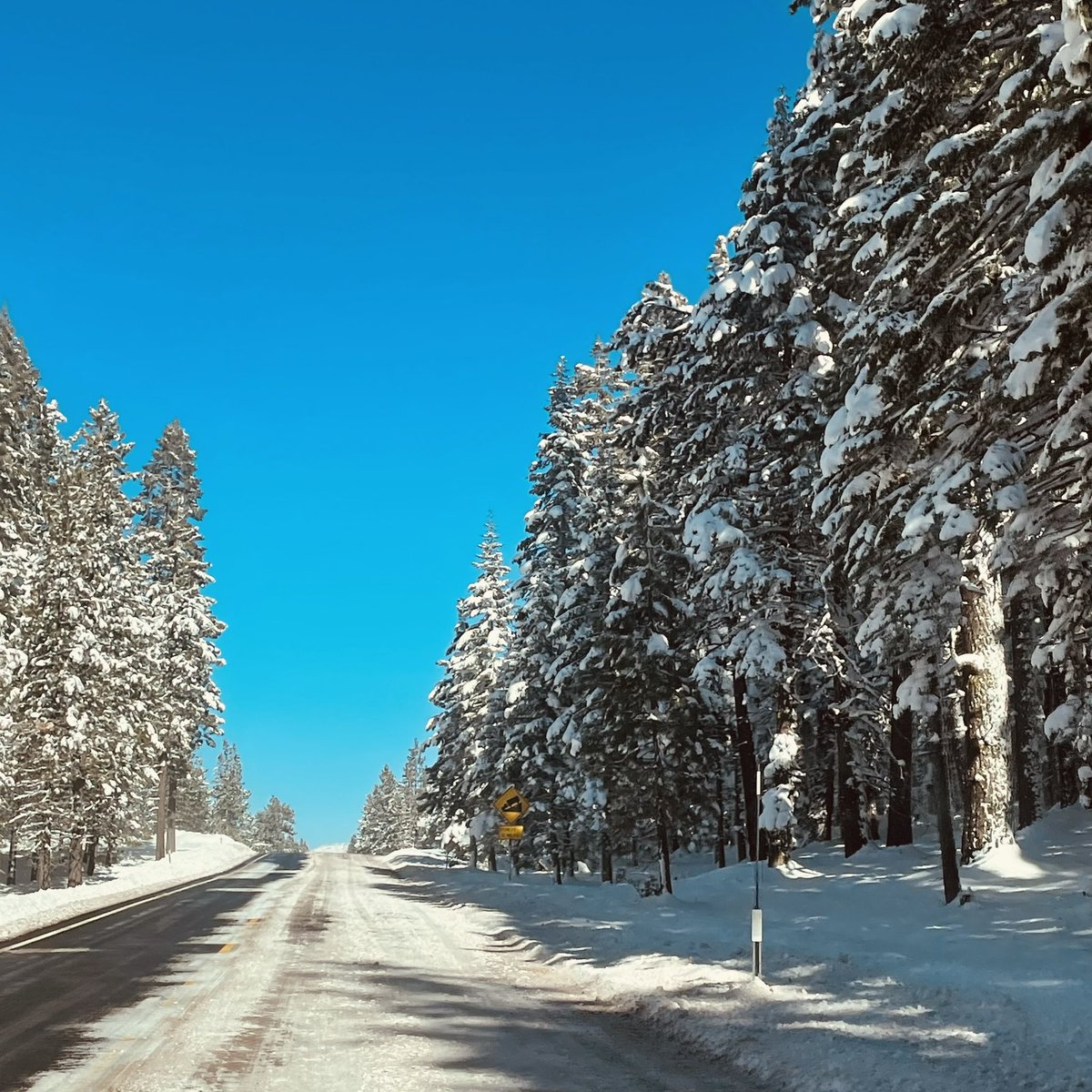 Crossing the High Sierras to Napa this weekend with four shows at the Blue Note. Tour dates at MartinSexton.com