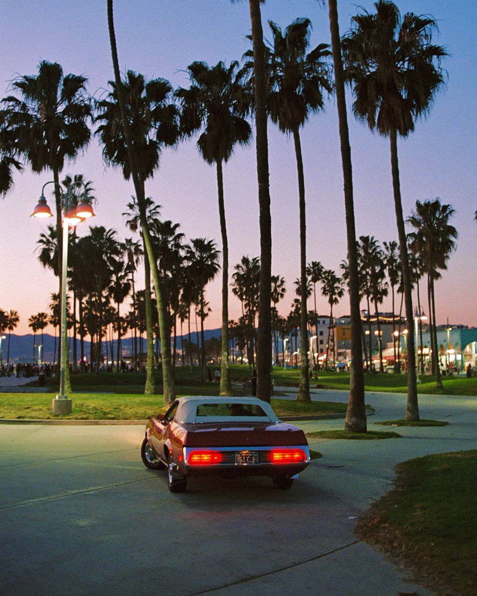 jake_inez's tweet photo. “night crawler” is available now on @foundation

1 ETH reserve 🌴 https://t.co/VcmQDcykMs