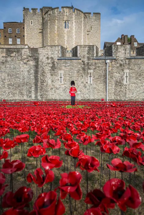 NCS1972's tweet photo. In 2014 ‘Blood Swept Lands and Seas of Red’ @HRP_palaces marked 100 years since Britain's involvement in the First World War. Created by Paul Cummins and Tom Piper, 888,246 ceramic poppies filled the Tower of London’s famous moat. 
#Museum30 Day 11: REMEMBER https://t.co/y7rnpuTlrd