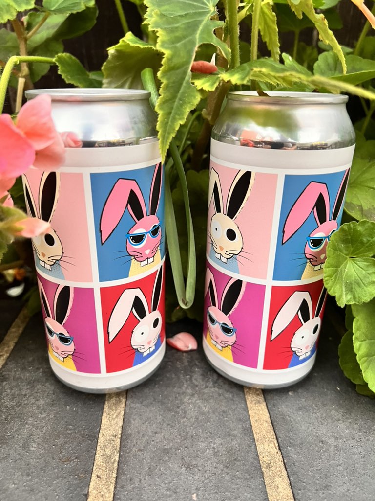 New in at The Magnet 🧲 

@jackrabbitbrewing 
• A currently Untitled Sour (4.2%) 

#magnetcolchester
#jackrabbitbrewing