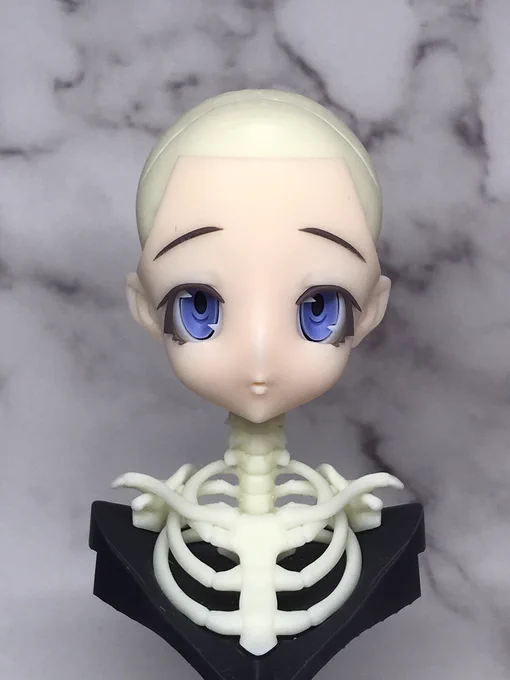 フィギュアの顔を作る時は骨格から作っています。まずは正確なアニメ顔の頭蓋骨を作り、大きな瞳を再現した目玉を作ってはめていきます。それからやっと顔の皮膚を肉付けして顔の造形です。そして髪の毛をつけて出来上がり。…嘘ですw#二次元的骨格標本少女富井アンナ 