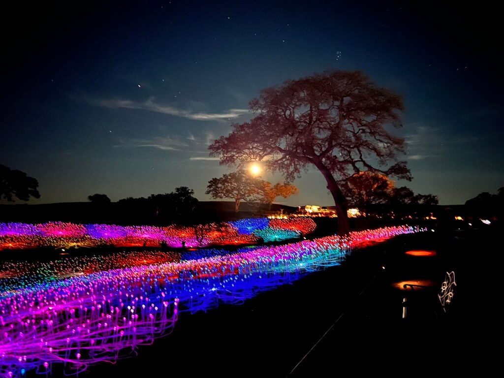 Scruzzer's tweet photo. We had an extremely trippy night last night. https://t.co/6UQR5Kd6Do https://t.co/E19HnwirI8
