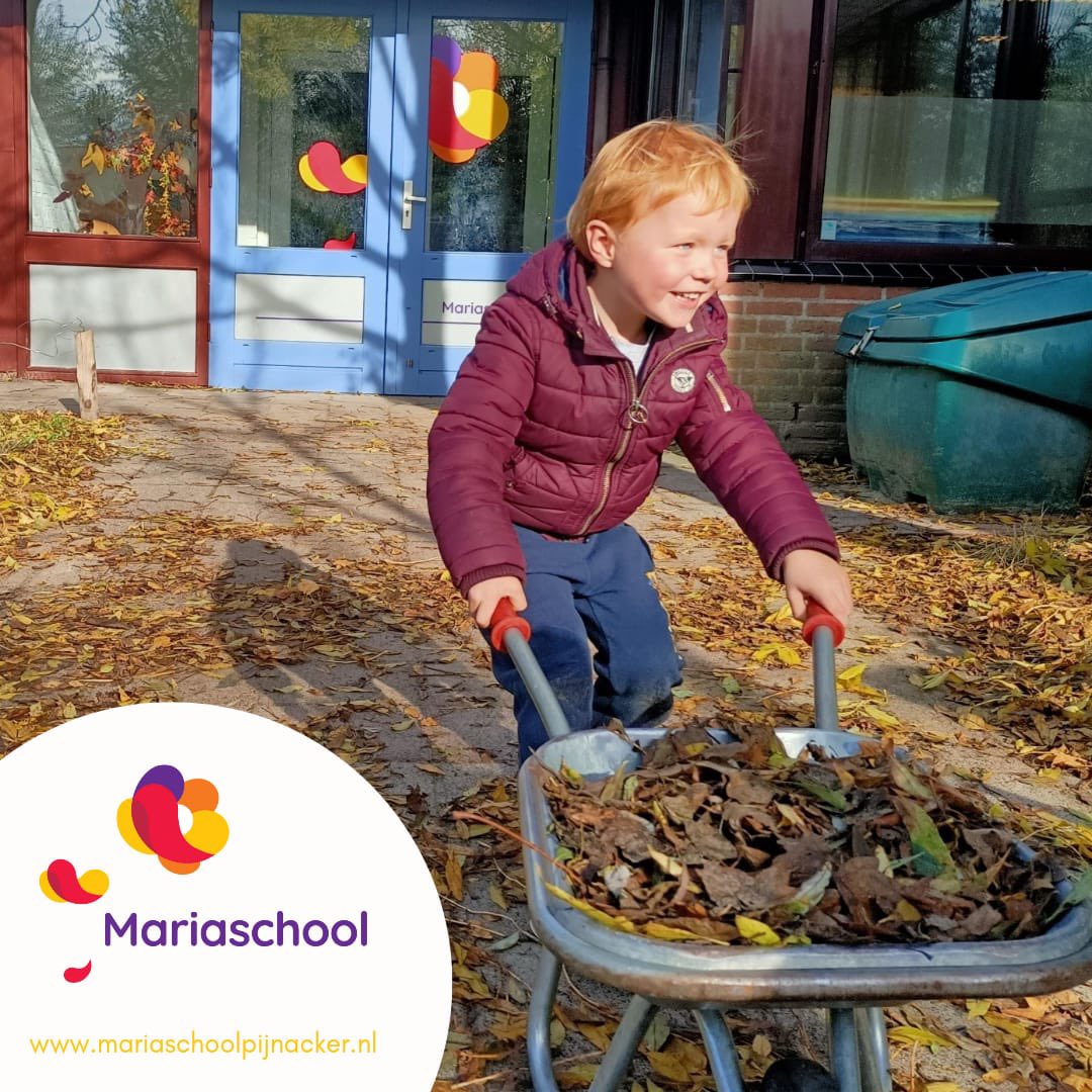 HERFST
De afgelopen weken zijn er veel bladeren van de bomen gevallen. Daar weten de kleuters van <a href="/MariaschoolSKOP/">Mariaschool Pijnacker</a> wel raad mee! Wat is #buitenspelen toch fijn tijdens deze heerlijke herfstdagen. #herfst #groenschoolplein #klapwijk #ackerswoude #tolhek #pijnackernootdorp