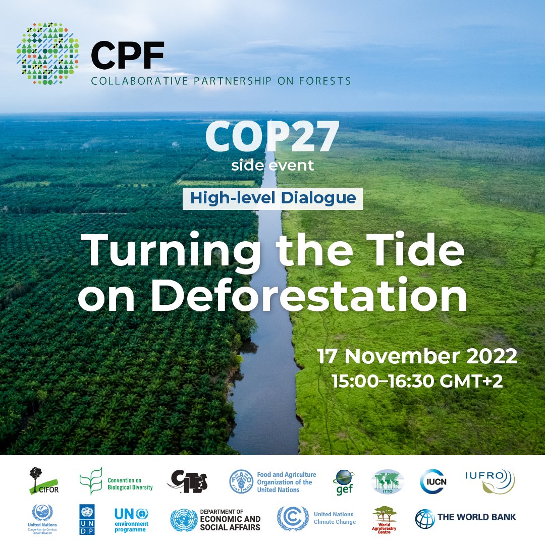 Join the Collaborative Partnership on Forests for a #COP27 side event

High-level Dialogue of the Collaborative Partnership on Forests: Turning the Tide on Deforestation 

🗓️Thursday 17 November
15:00-16:30 GMT+2

👉bit.ly/3DYAsMU

#CPForests #ClimateAction