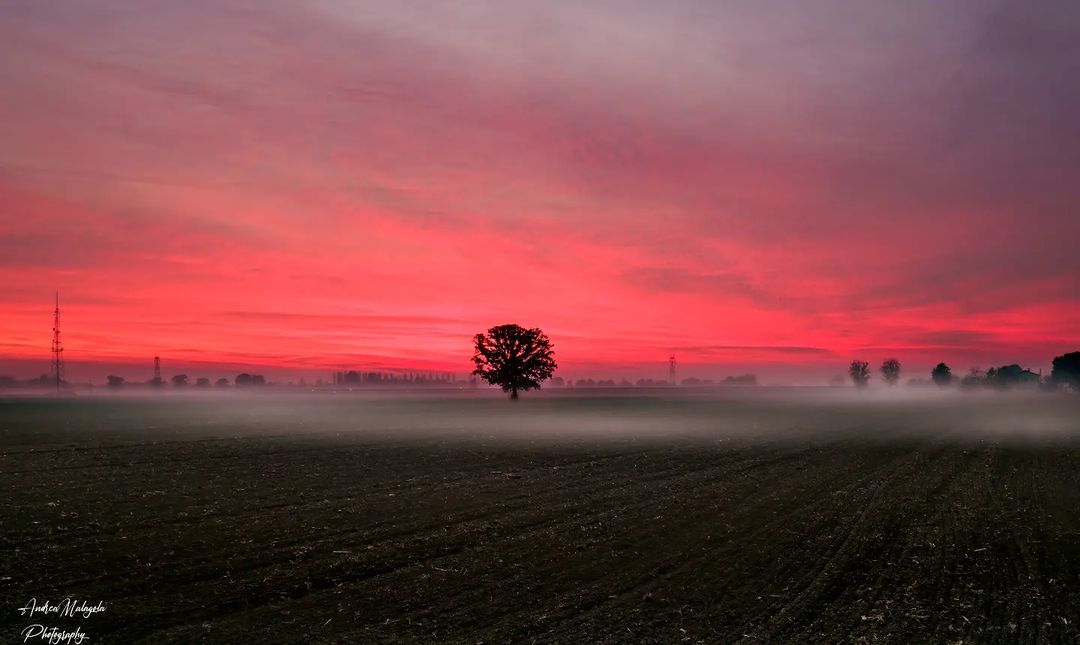 ModenaDintorni's tweet photo. Le prime nebbie al #tramonto sulla #bassamodenese ✨
Ph Andrea Malagola https://t.co/zEWUZLiGlc