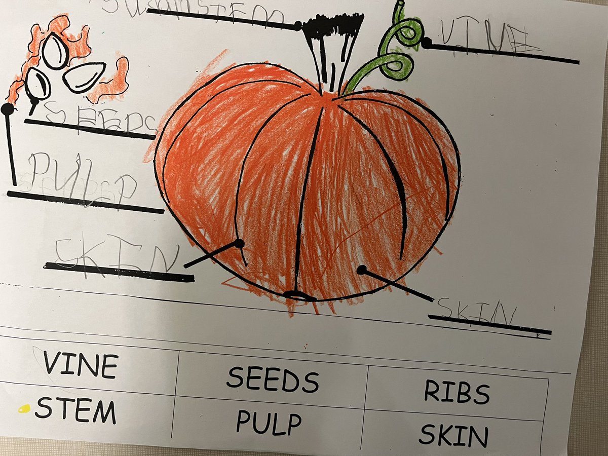 vanessashahin's tweet photo. pumpkins 🔁 @SloanePS_TDSB https://t.co/oFCiscyTmq