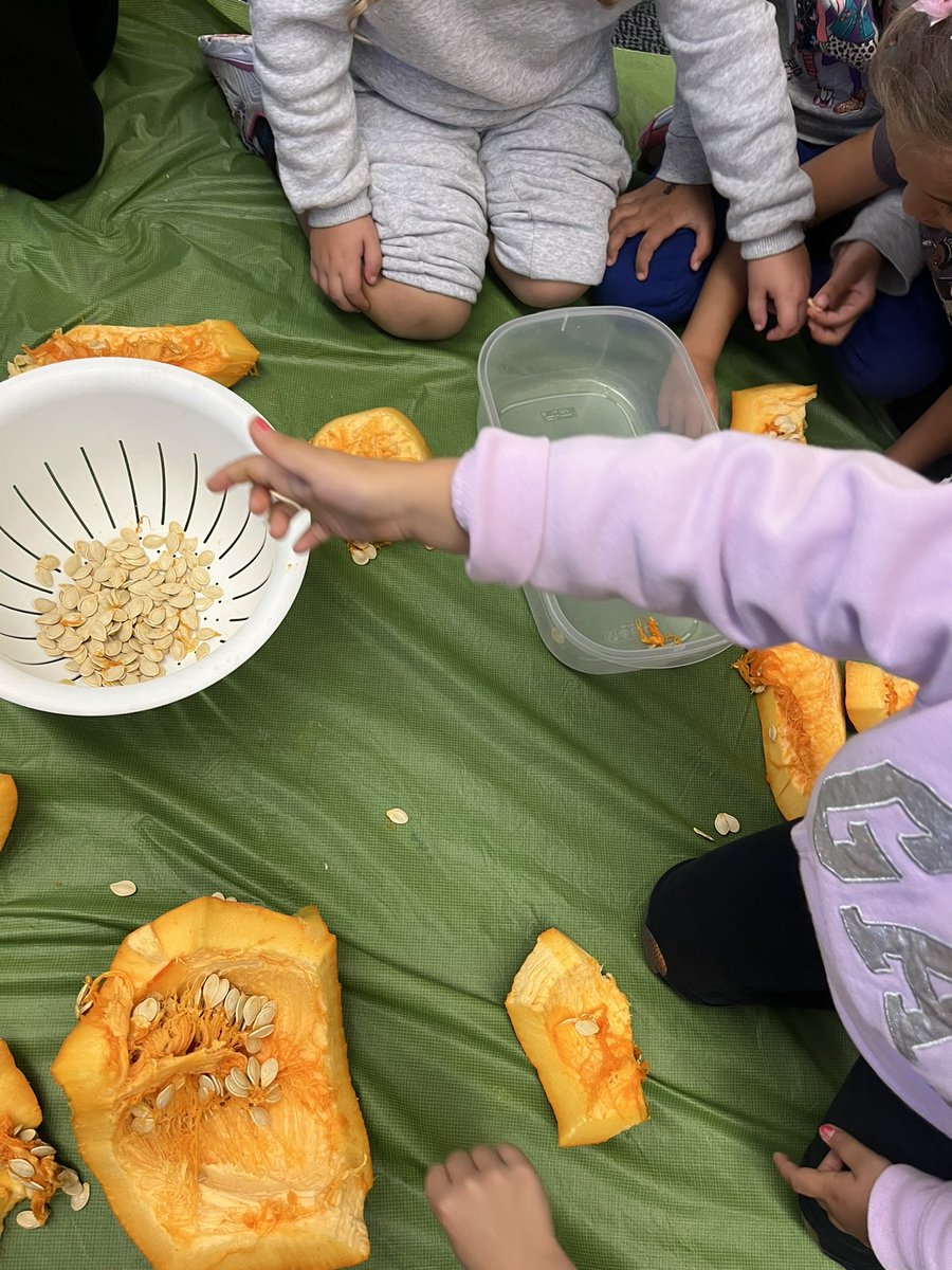 vanessashahin's tweet photo. pumpkins 🔁 @SloanePS_TDSB https://t.co/oFCiscyTmq