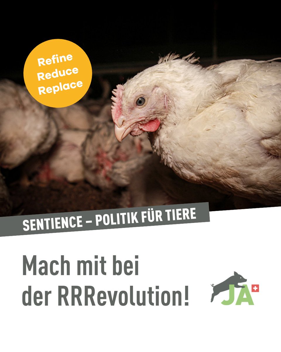 Initiative gegen Massentierhaltung tweet media