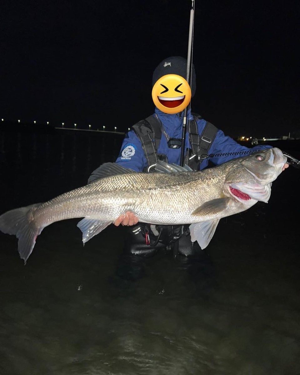 XM1xr's tweet photo. 湘南シーバス
掛かった瞬間から主導権を握られ、耐え続けてなんとかキャッチ！
104cmのメーターシーバスでした！
こんなにもメジャーの長さに不安になる日が来るとは…
＃メーターシーバス
＃相模川シーバス
＃湘南シーバス
＃天龍SWAT https://t.co/A86hozt5CH