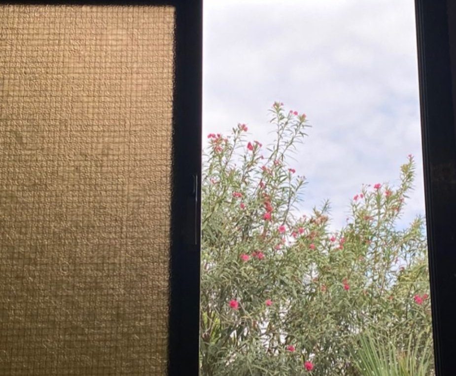 بشُرفه داره ورد يرْقب سموّه
يتمايل كل ما فتحت الشبّــاك..