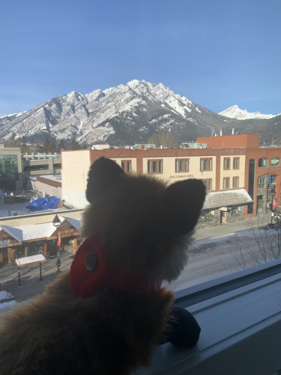 Kit is going to observe her first Remembrance Day in Banff.