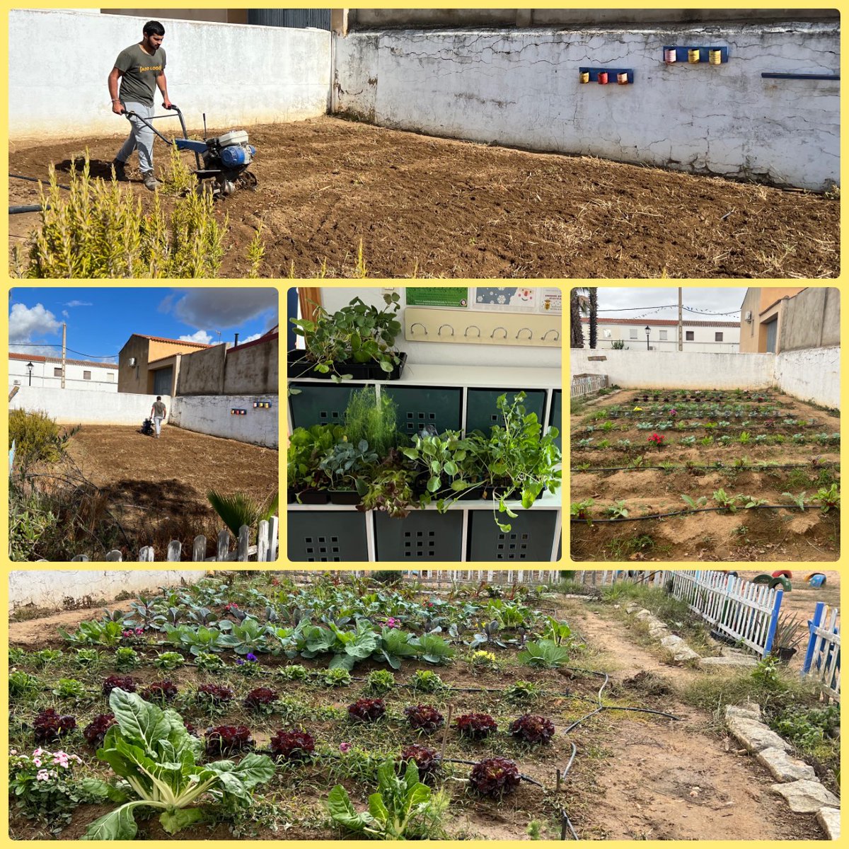 saludtorvis's tweet photo. ¡El #CicloComposTorvis funciona! Gracias a la ayuda de nuestra mejor #Alianza @ElTorviscalAyun tenemos el huerto genial y los residuos orgánicos de este y de los recreos van al #Compobox #ODS #AuladelFuturo @Integreellence1
@CulEmprendedora
@CPRdbv
@ApSExtremadura https://t.co/LnYuPtAUaz