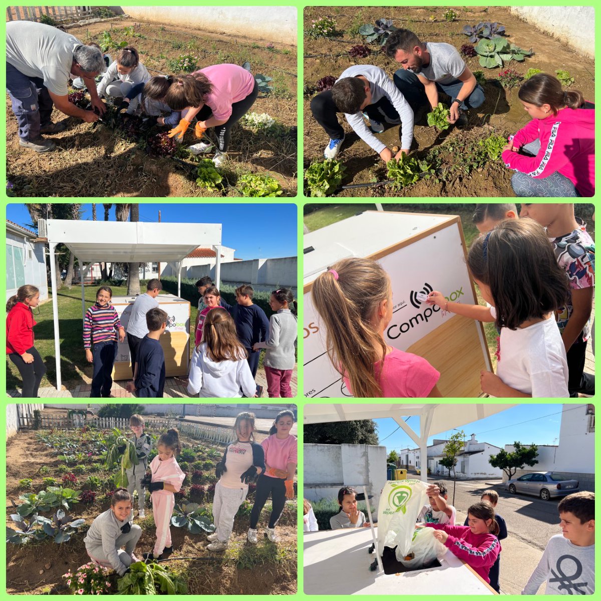 saludtorvis's tweet photo. ¡El #CicloComposTorvis funciona! Gracias a la ayuda de nuestra mejor #Alianza @ElTorviscalAyun tenemos el huerto genial y los residuos orgánicos de este y de los recreos van al #Compobox #ODS #AuladelFuturo @Integreellence1
@CulEmprendedora
@CPRdbv
@ApSExtremadura https://t.co/LnYuPtAUaz