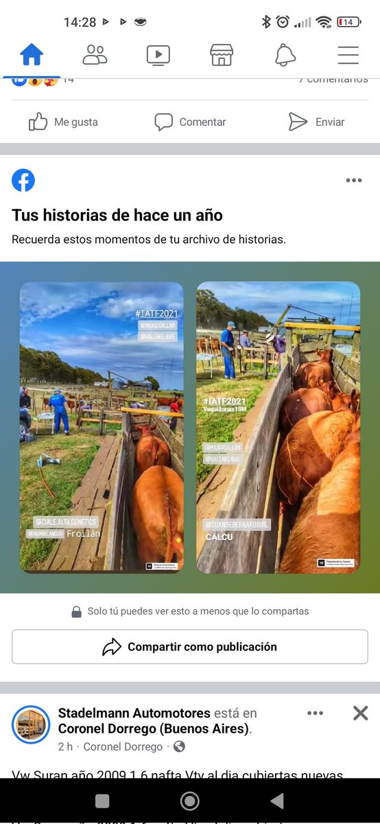 orozco_tato's tweet photo. Mañana de Inseminación en Oriente con @Maxioga @ValenELavie
Y me llega recuerdo del mismo día, el año pasado, mismo equipo, mimos toros 🙌 https://t.co/AGsZGKC6Yk