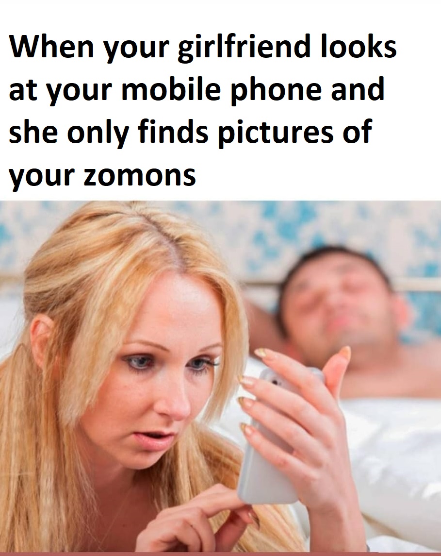 Zomon: the path of heroes tweet media