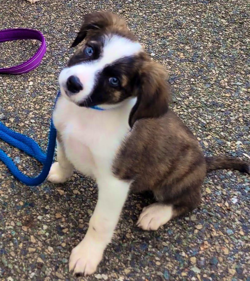 Adam Scheier tweet media