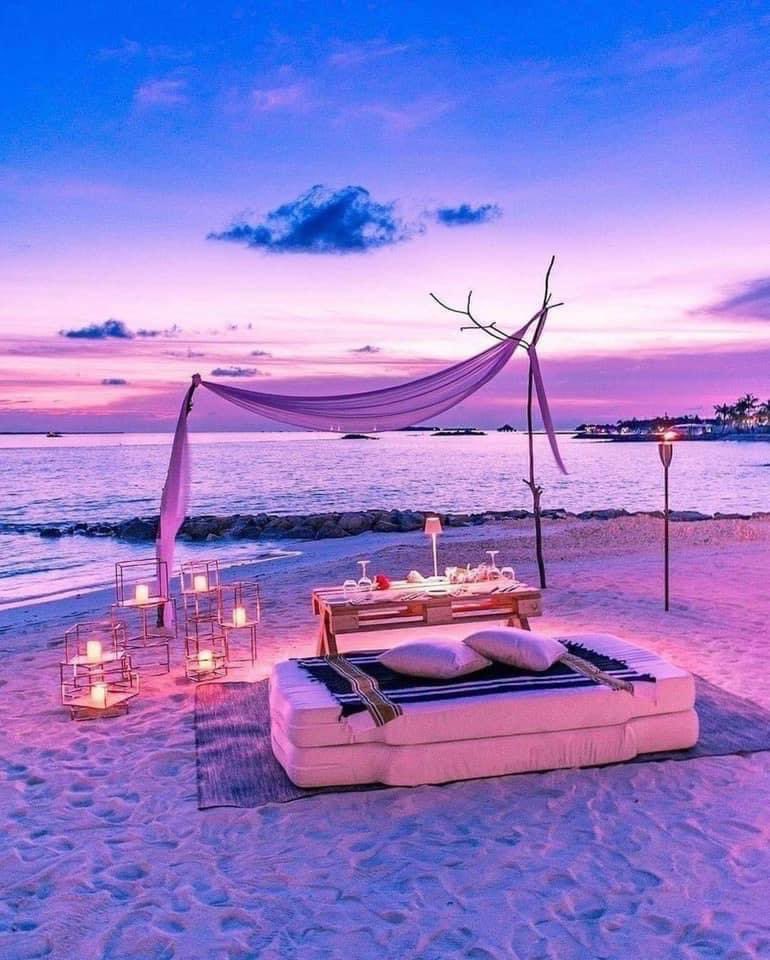 Good evening world 💜💜
#naturelovers #NaturePhotography